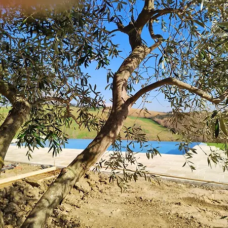 Villa Casale Oleandri With Pool Case Selva Grande